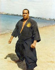 Image result for Black Martial Artist