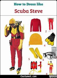 Image result for DIY Scuba Steve Costume