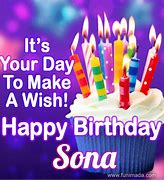 Image result for Sona Products