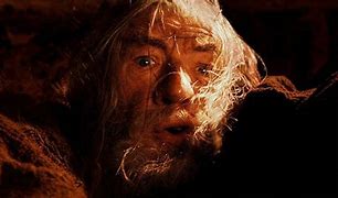 Image result for Gandalf Fly You Fools