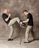 Image result for Krav Maga Self-Defense Moves
