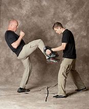 Image result for Best Fighting Styles for Self-Defense