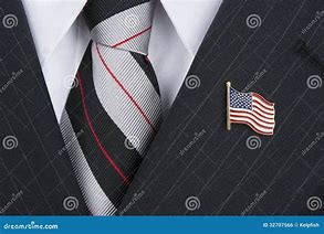 Image result for Politician American Flag Lapel Pin