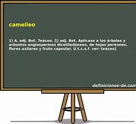 Image result for camelieo