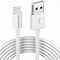 Image result for First Ever iPhone Charger
