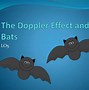Image result for Doppler Effect in Bats