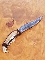 Image result for Coyote Jawbone Knife