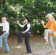Image result for Tai Chi and Qi Gong