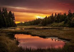 Image result for 1440X900 Nature Wallpaper HD