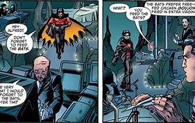 Image result for Bruce Wayne Bat Faunus