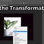 Image result for Procreate App Trace