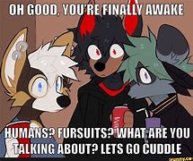Image result for OH My Gosh Furry Meme