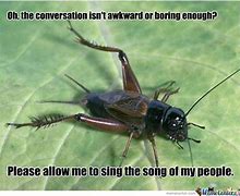 Image result for Crickets Waiting Meme