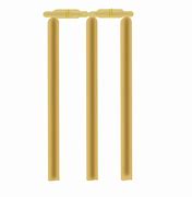 Image result for Light Wicket Cricket