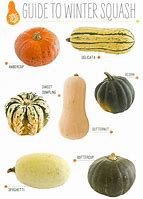 Image result for Are All Squash Edible