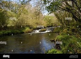 Image result for Afon Bach River