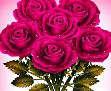 Image result for Dark Pink Roses