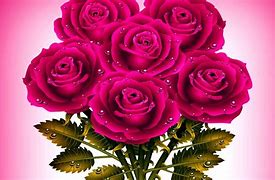 Image result for Pics of Dark Pink Roses