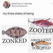 Image result for co_to_znaczy_zonked!