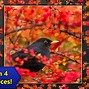 Image result for Jigsaw Puzzles for Android Tablet