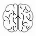 Image result for Brain Vector Outline