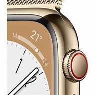 Image result for Apple Watch Gold Stainless Steel