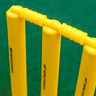 Image result for Cricket Equipment