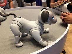 Image result for Aibo Cost