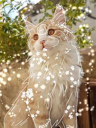 Image result for Therian Aesthetic Cat