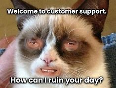 Image result for Automated Coustomer Service Cat Meme