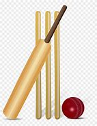 Image result for Cricket Bat without Logo
