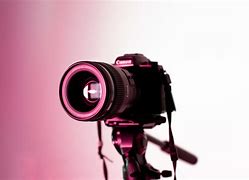 Image result for royalty free images work