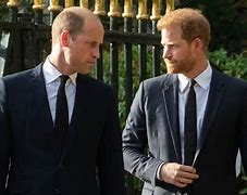 Image result for Prince Harry Fight