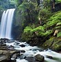 Image result for Real Nature Screensavers