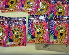 Image result for Scooby Snax Drug