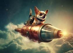 Image result for Chihuahua Rocket Photoshop