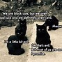 Image result for Black Cat Void Meme