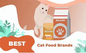 Image result for Cat Food Brand Names