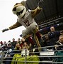 Image result for Washington Apple Cup