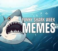 Image result for Funny Shark Week Memes