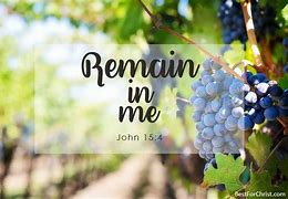 Image result for Vine Branches Scripture