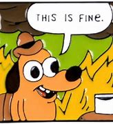 Image result for This Is Fine Meme Just the Fire