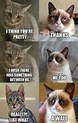Image result for Cute Cat Memes 2019