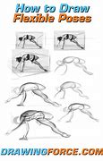 Image result for Flexible Drawing