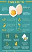 Image result for Famous Egg Dish in Spanish