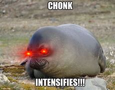 Image result for Seal Mother Chonk Meme