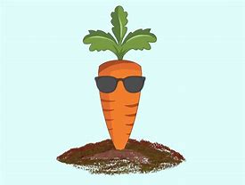 Image result for Cool Carrot