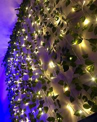 Image result for Bedroom with LED Lights and Vines