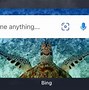 Image result for Bing App iOS