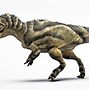 Image result for Largest Land Carnivore Dinosaur